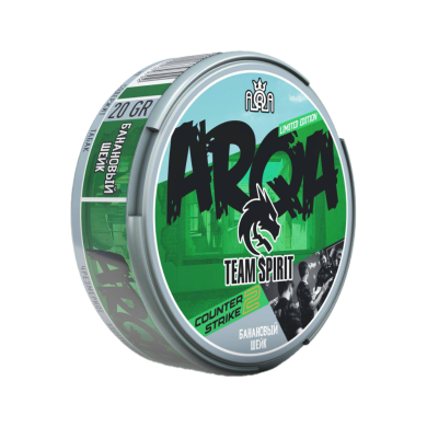 ARQA CS:GO | Team Spirit