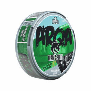 ARQA CS:GO | Team Spirit